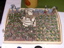 Steve Mansfields' Army