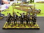 Dark Elf Dark Riders